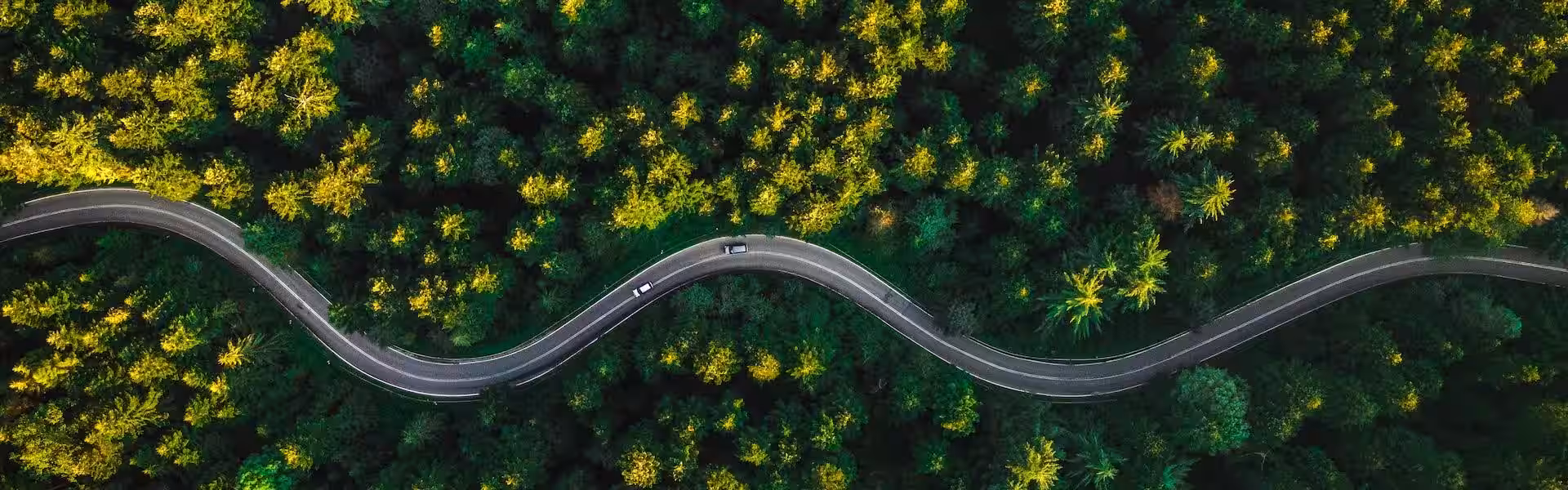 Homepage Background